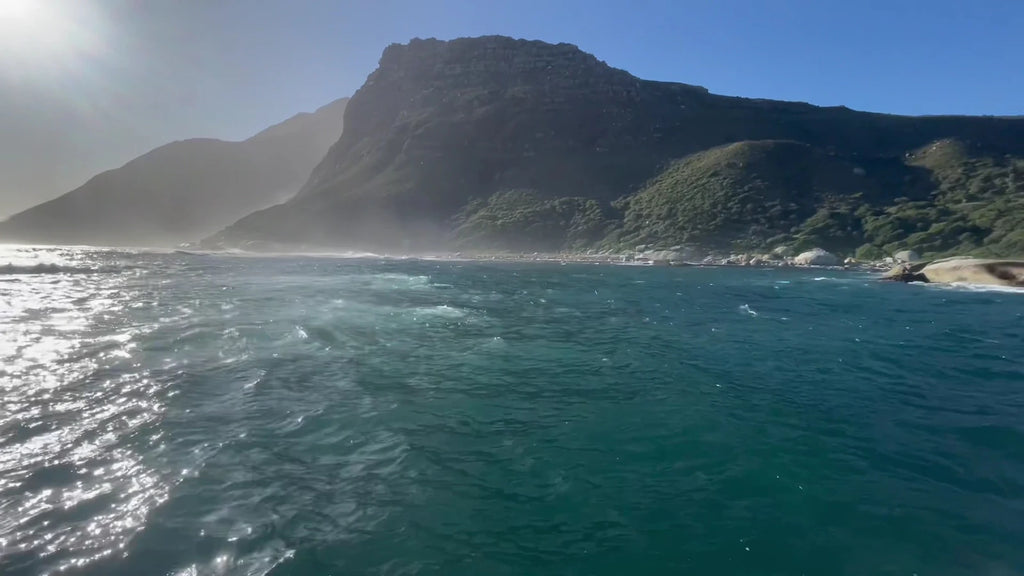 Hout Bay Seal Island Cruise, Cape Town South Africa