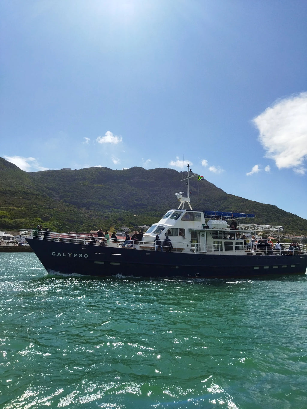 Hout Bay Seal Island Cruise, Cape Town South Africa
