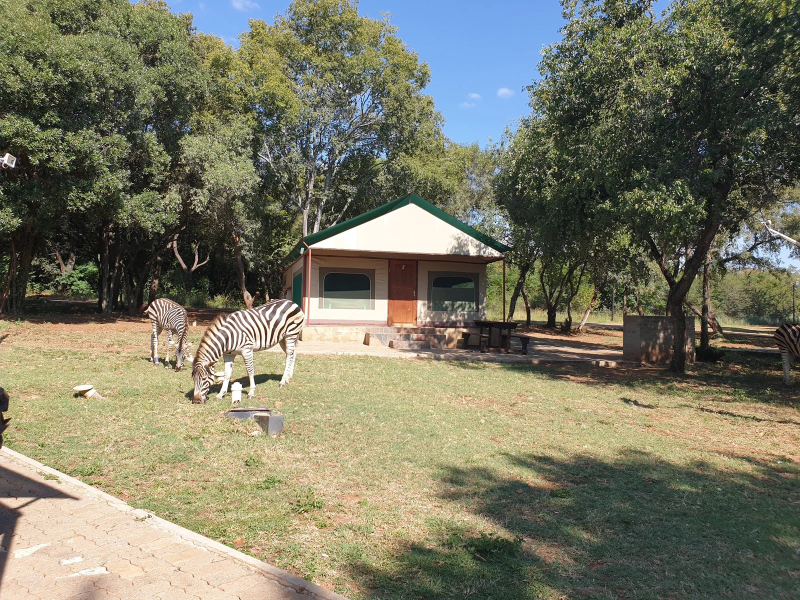 Ifafi Aquatic Club, Hartbeespoort South Africa