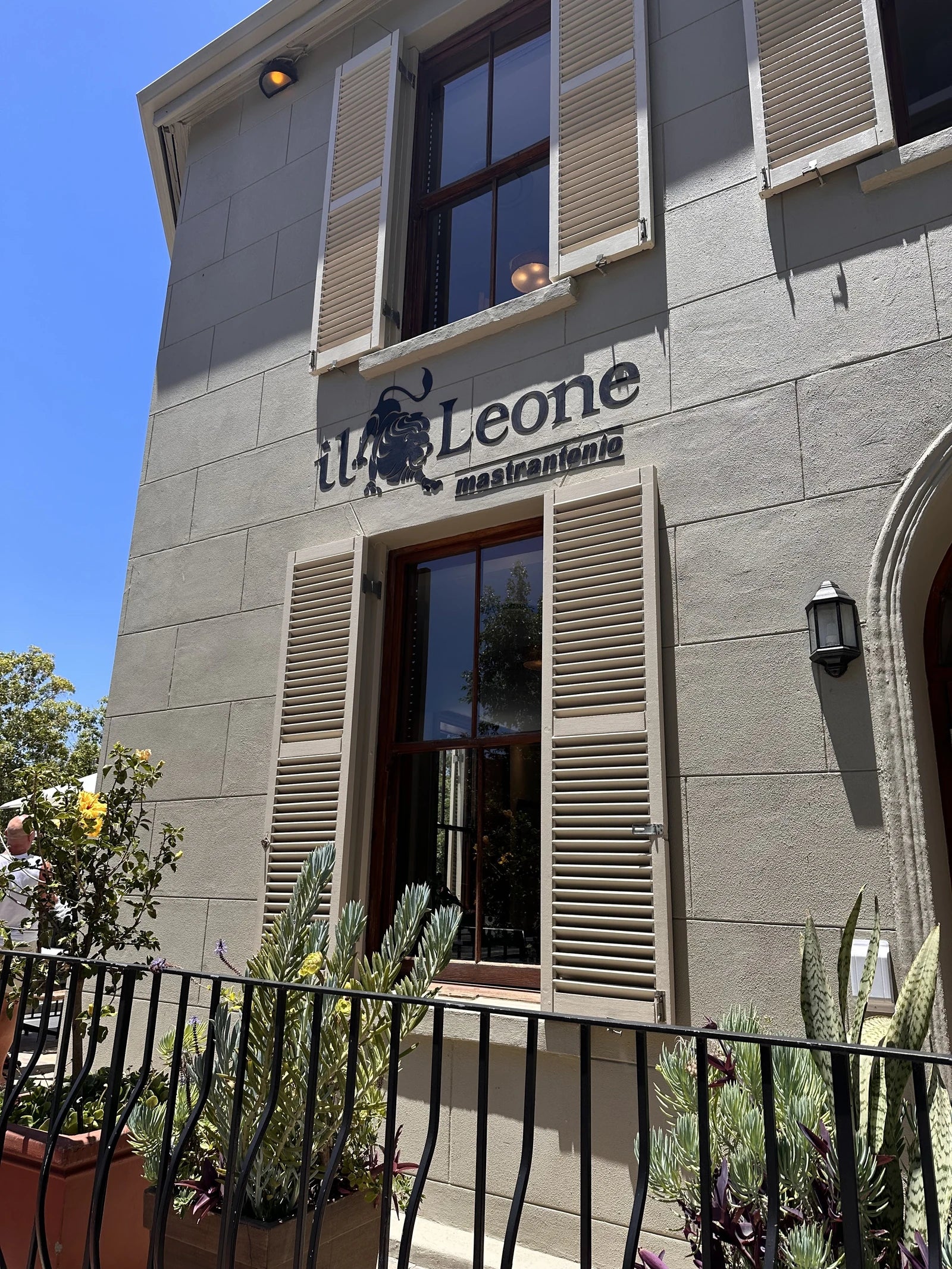 Il Leone Mastrantonio, Cape Town South Africa