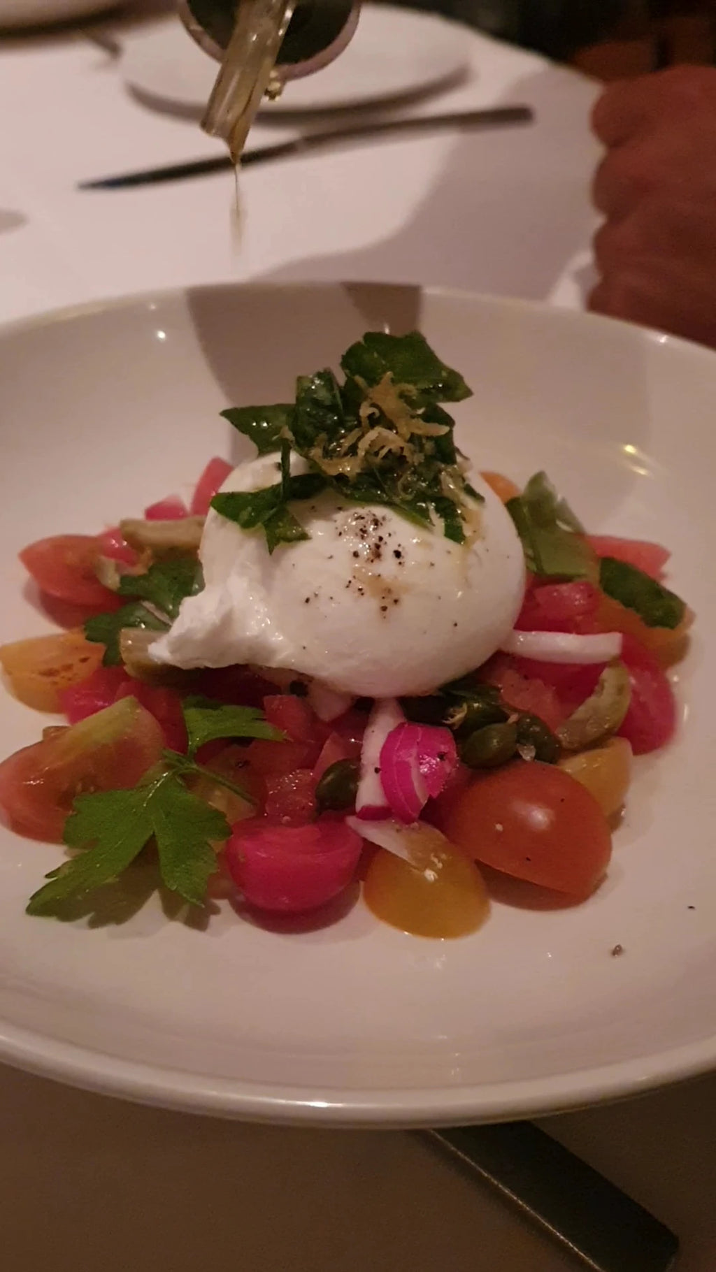 Il Leone Mastrantonio, Cape Town South Africa