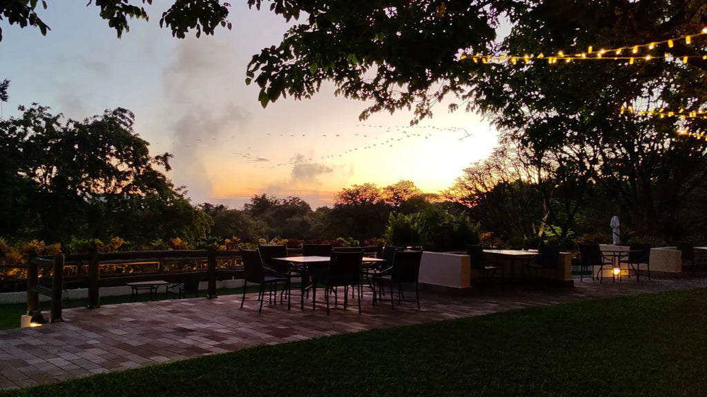 Ilala Lodge Hotel, Victoria Falls Zimbabwe