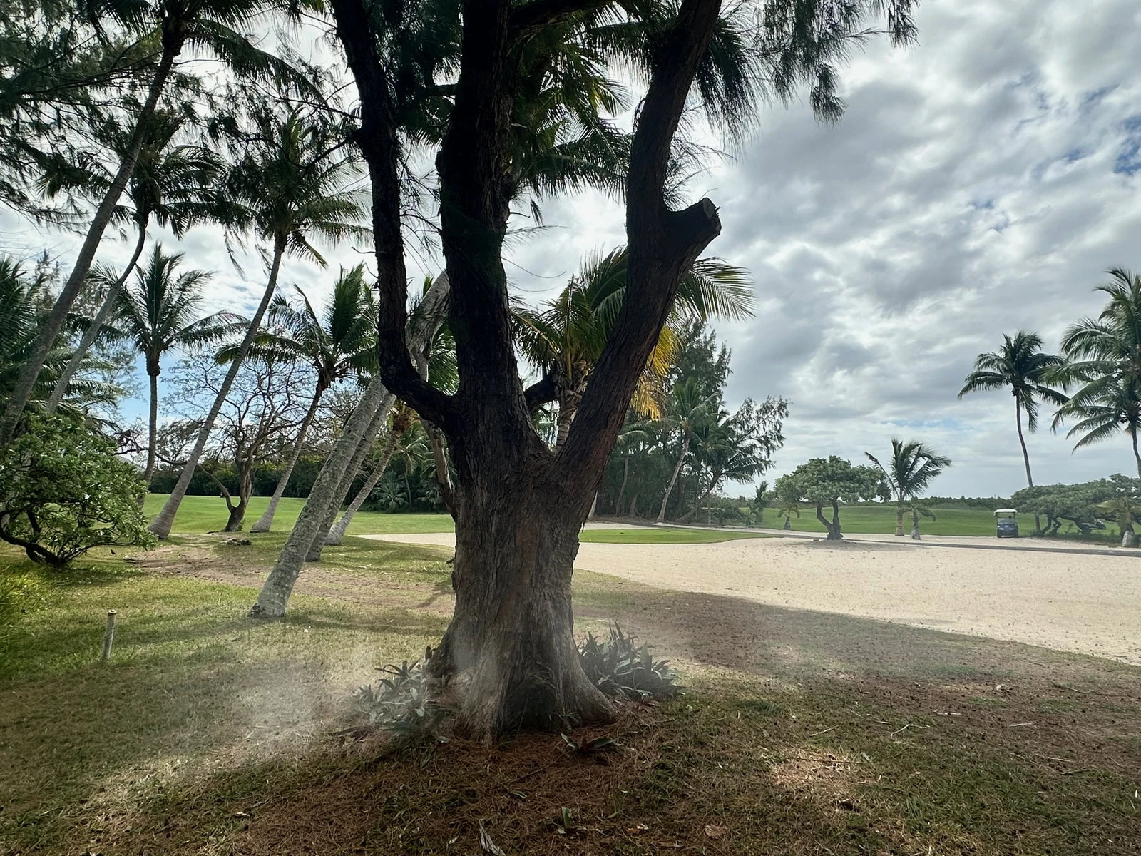Ile Aux Cerfs Leisure Island, Trou d'Eau Douce Mauritius