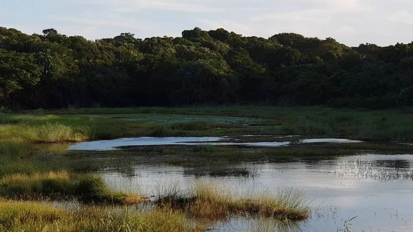 Imvubu Lodge, Richards Bay South Africa