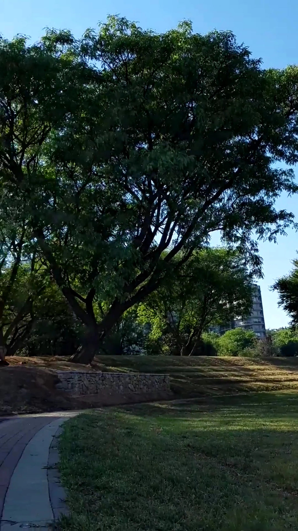 Innesfree Park, Sandton South Africa