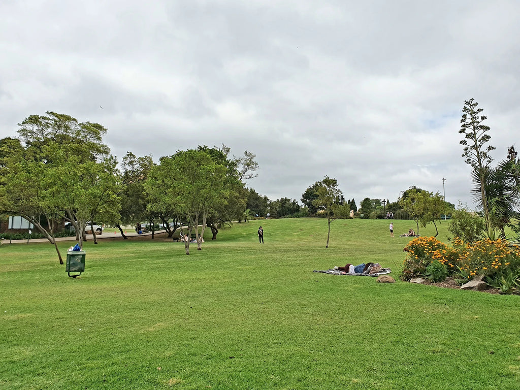 Innesfree Park, Sandton South Africa
