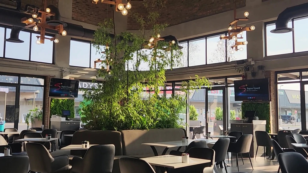 Irene Cafe, Centurion South Africa