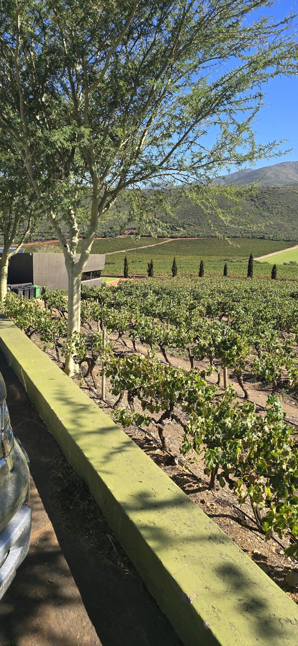 Jakkalsvlei, 
Herbertsdale South Africa