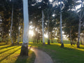 James & Ethel Gray Park, Johannesburg South Africa