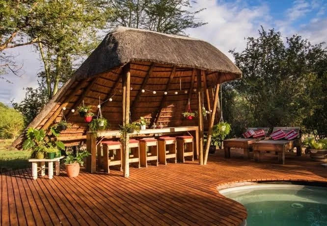 Jessica the Hippo, Hoedspruit South Africa