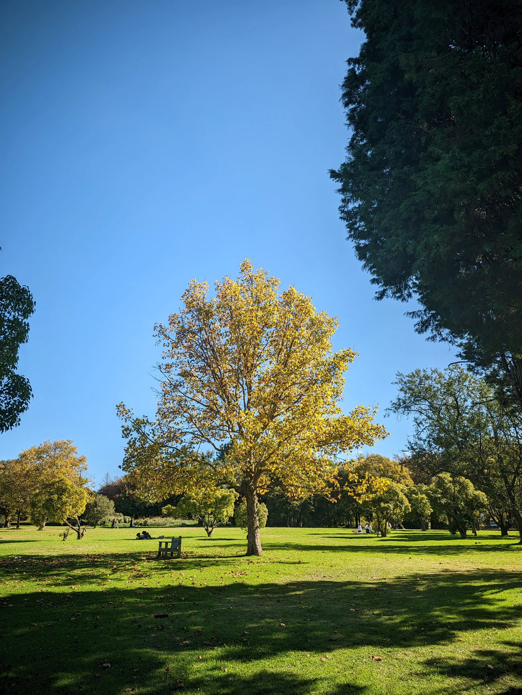 Johannesburg Botanical Gardens, Randburg South Africa