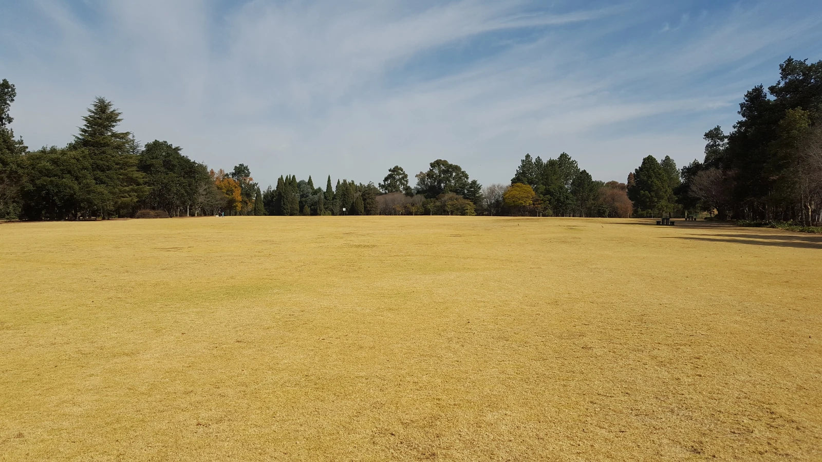 Johannesburg Botanical Gardens, Randburg South Africa