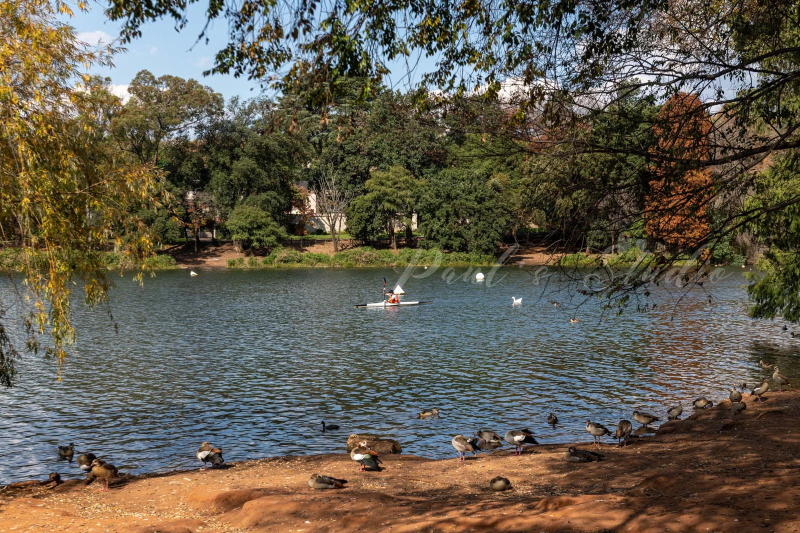 Johannesburg Botanical Gardens, Randburg South Africa
