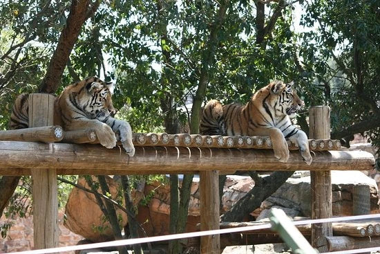 Johannesburg Zoo, Johannesburg South Africa