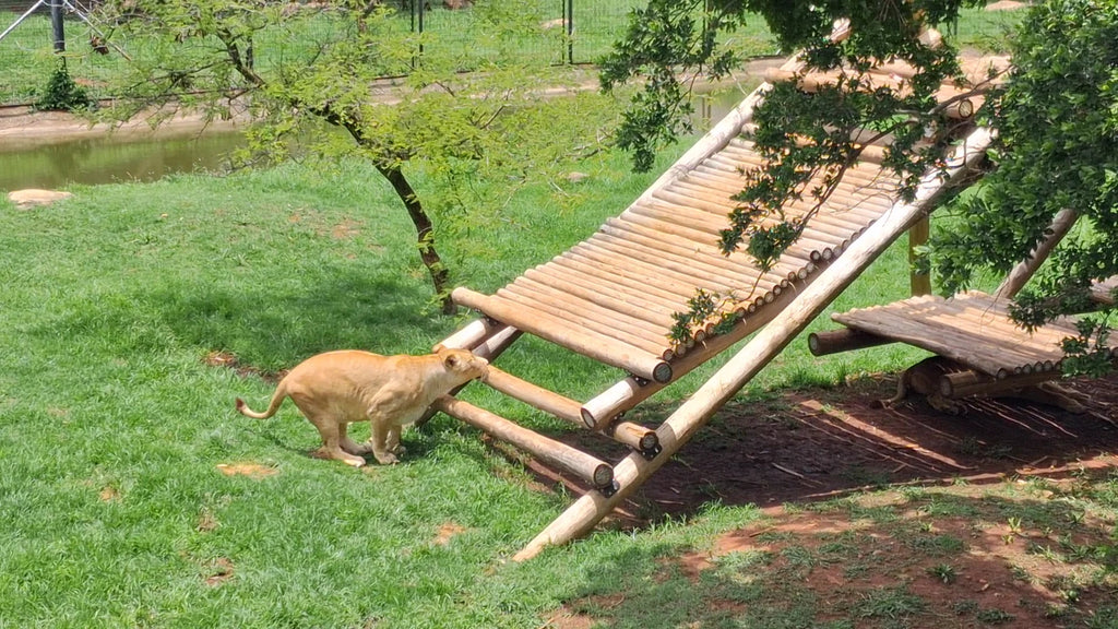 Johannesburg Zoo, Johannesburg South Africa