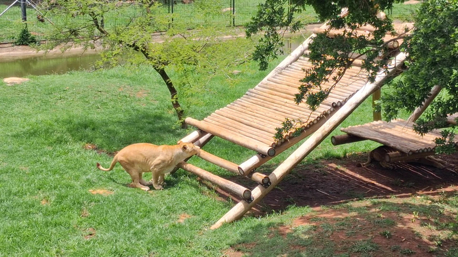 Johannesburg Zoo, Johannesburg South Africa