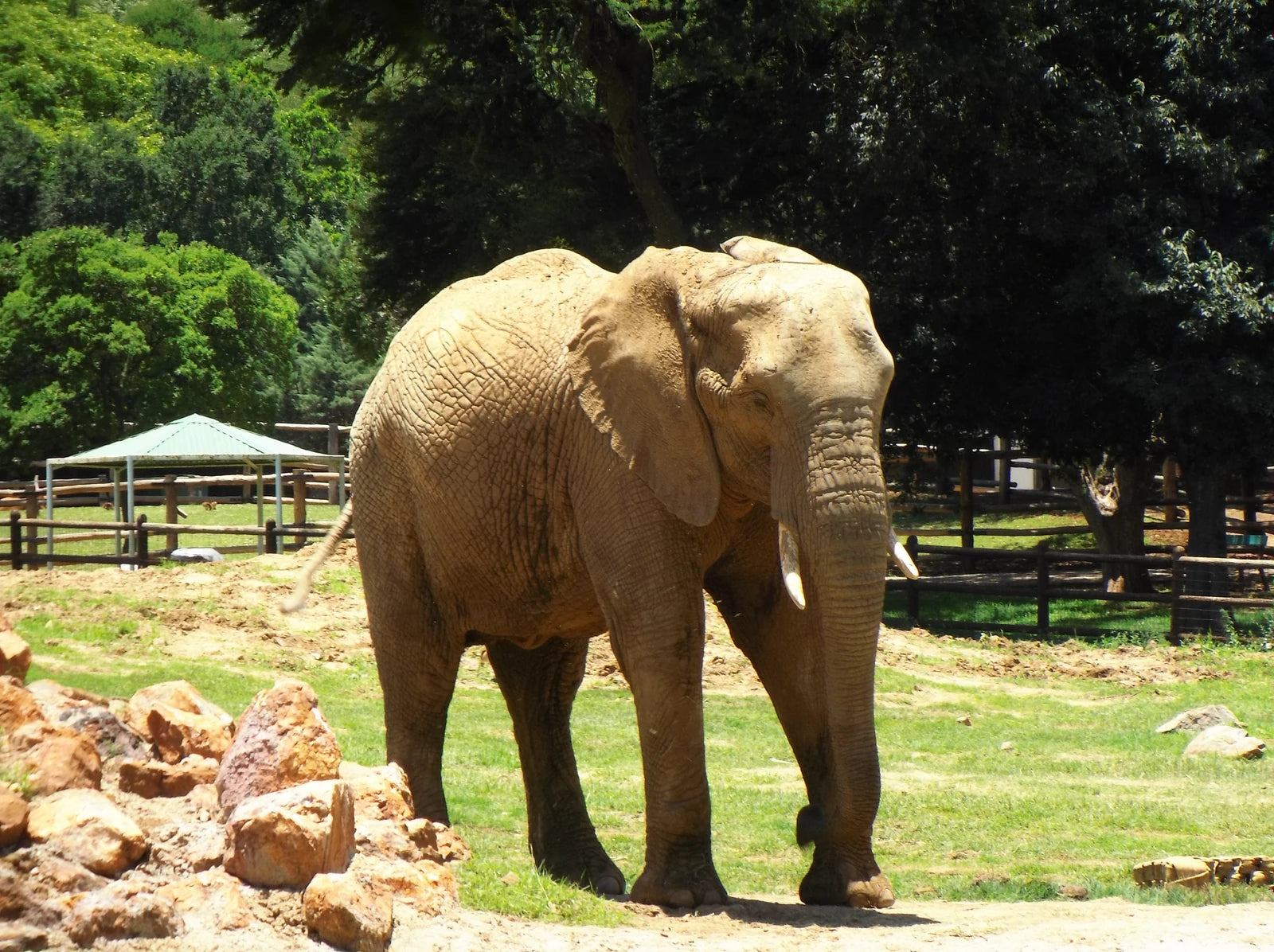 Johannesburg Zoo, Johannesburg South Africa