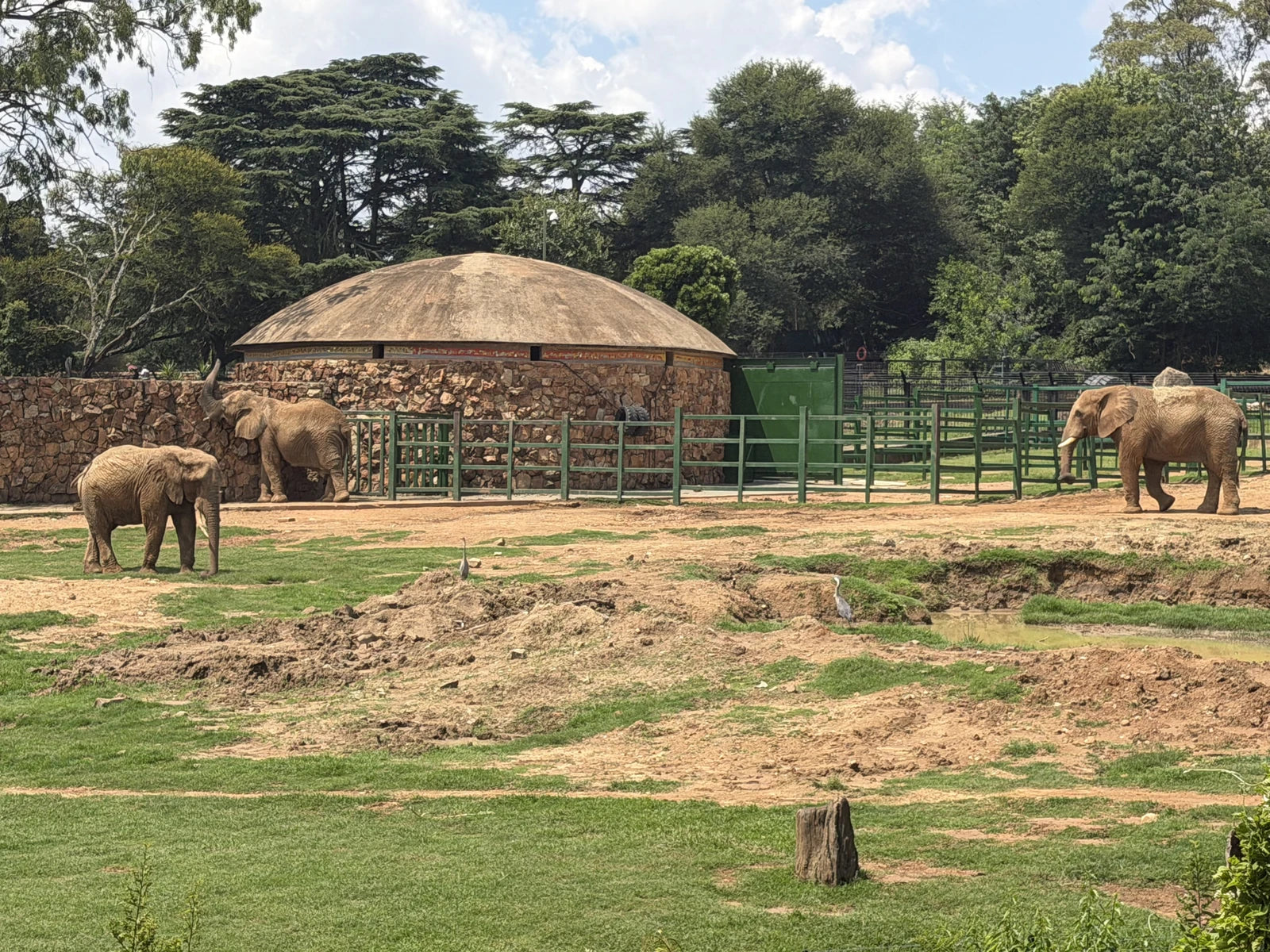 Johannesburg Zoo, Johannesburg South Africa