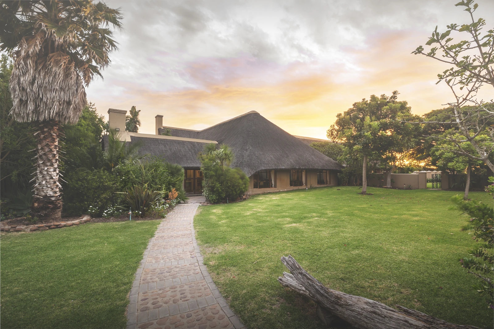 Jolly Dolphin, Jeffreys Bay South Africa