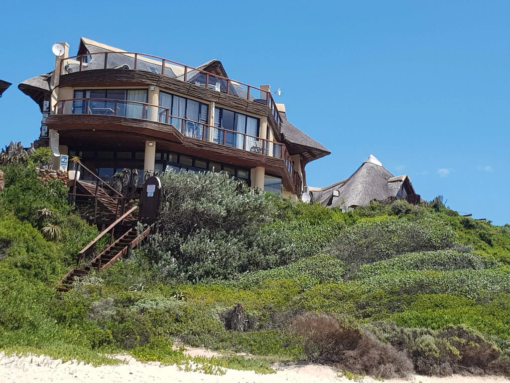 Jolly Dolphin, Jeffreys Bay South Africa