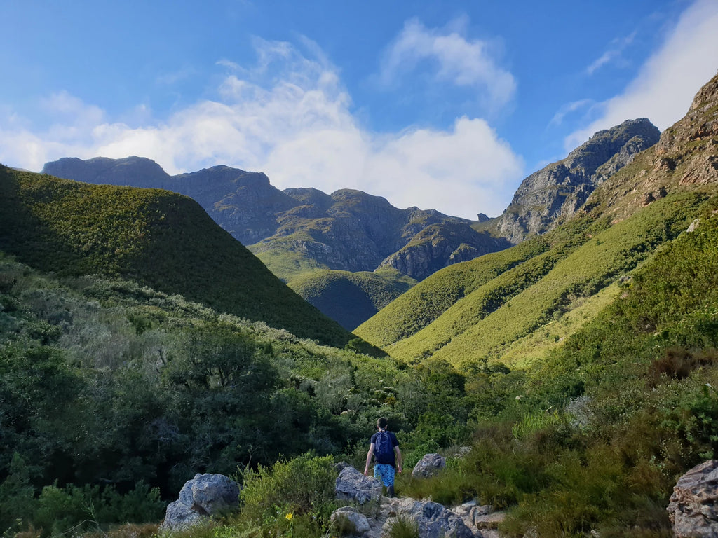 Jonkershoek Nature Reserve, Stellenbosch South Africa