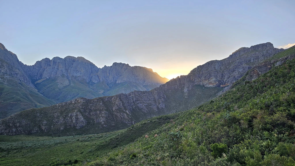 Jonkershoek Nature Reserve, Stellenbosch South Africa