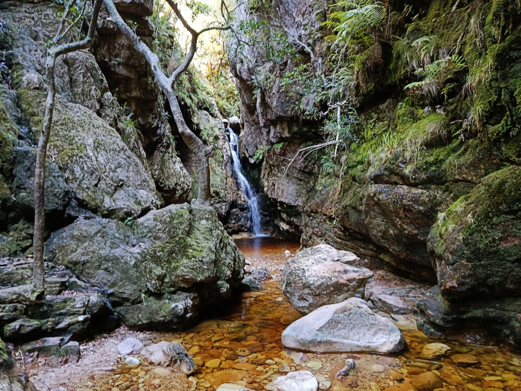 Jonkershoek Nature Reserve, Stellenbosch South Africa
