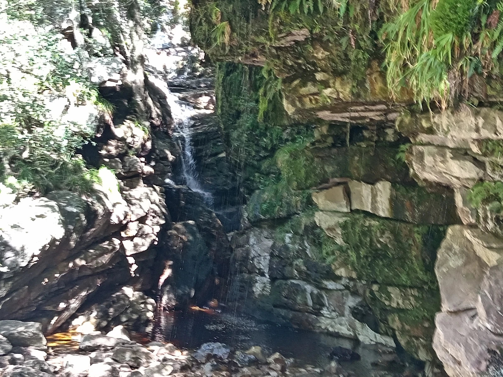 Jonkershoek Nature Reserve, Stellenbosch South Africa