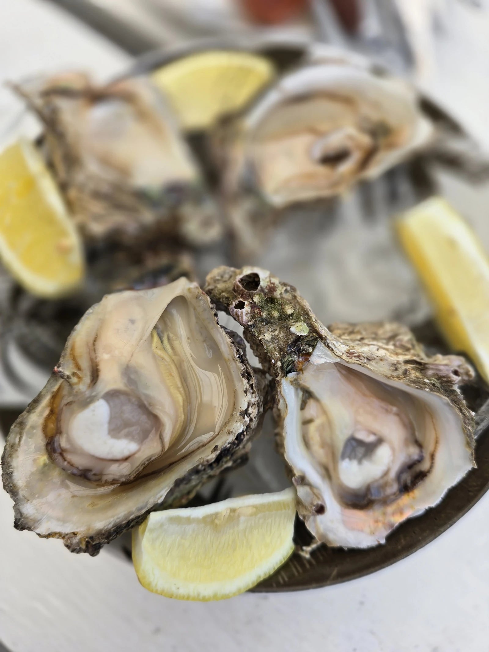 KabelJoe's Seafood Restaurant, Kleinmond South Africa