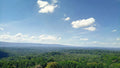 Kakamega Forest, 
Kakamega Kenya