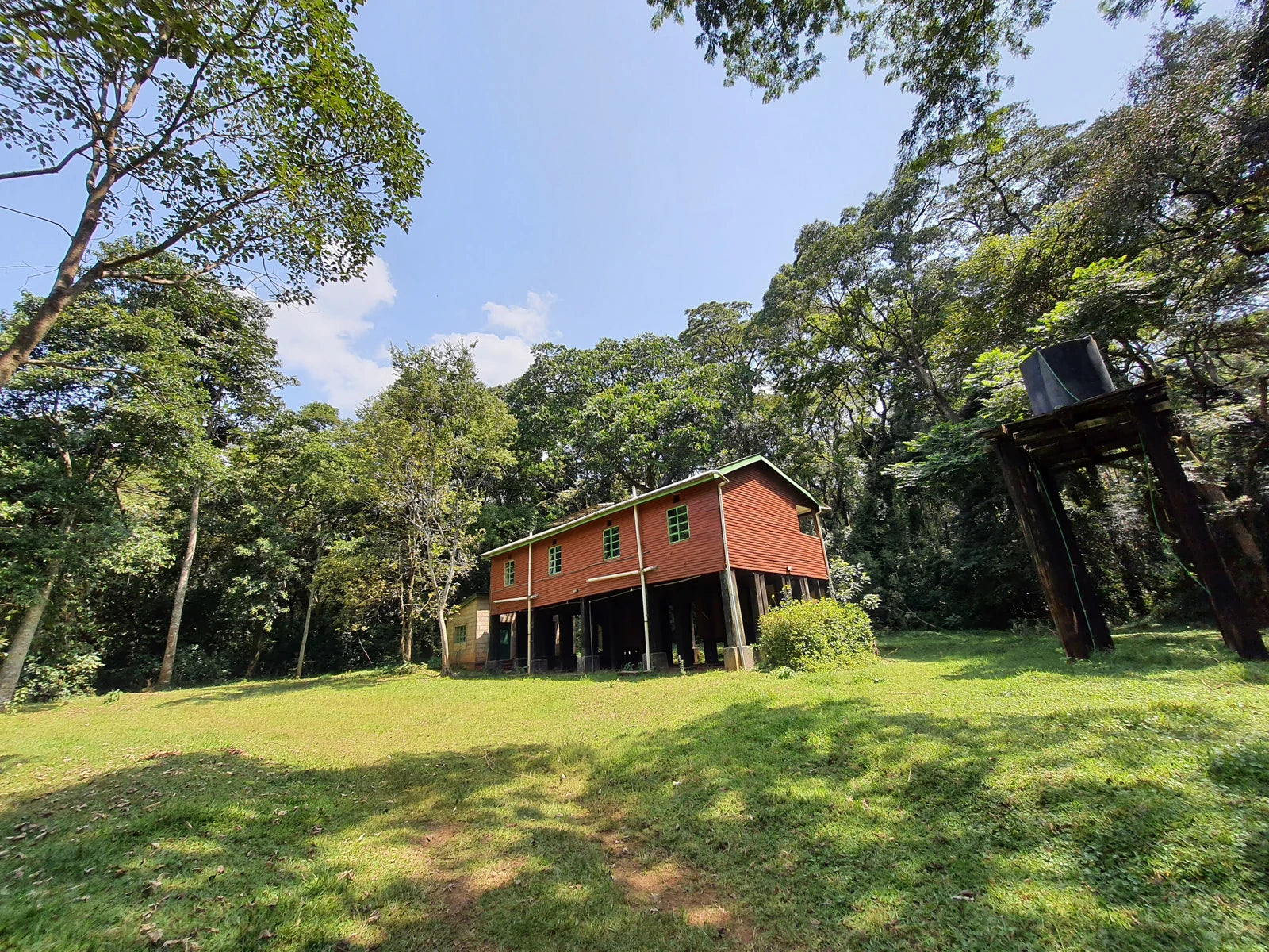 Kakamega Forest, 
Kakamega Kenya