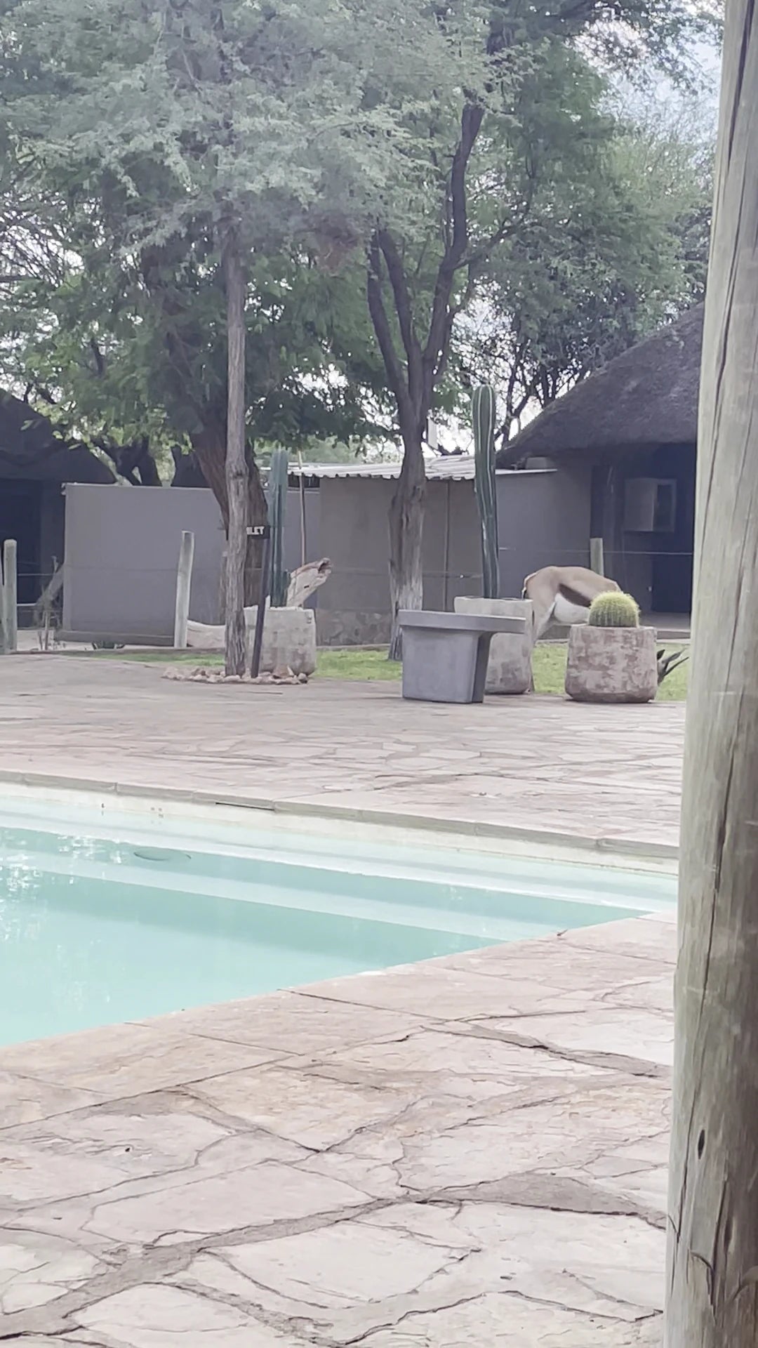 Kalahari Lodge, Kimberley South Africa