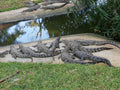 Kalimba Reptile Park, Lusaka 10101 Zambia