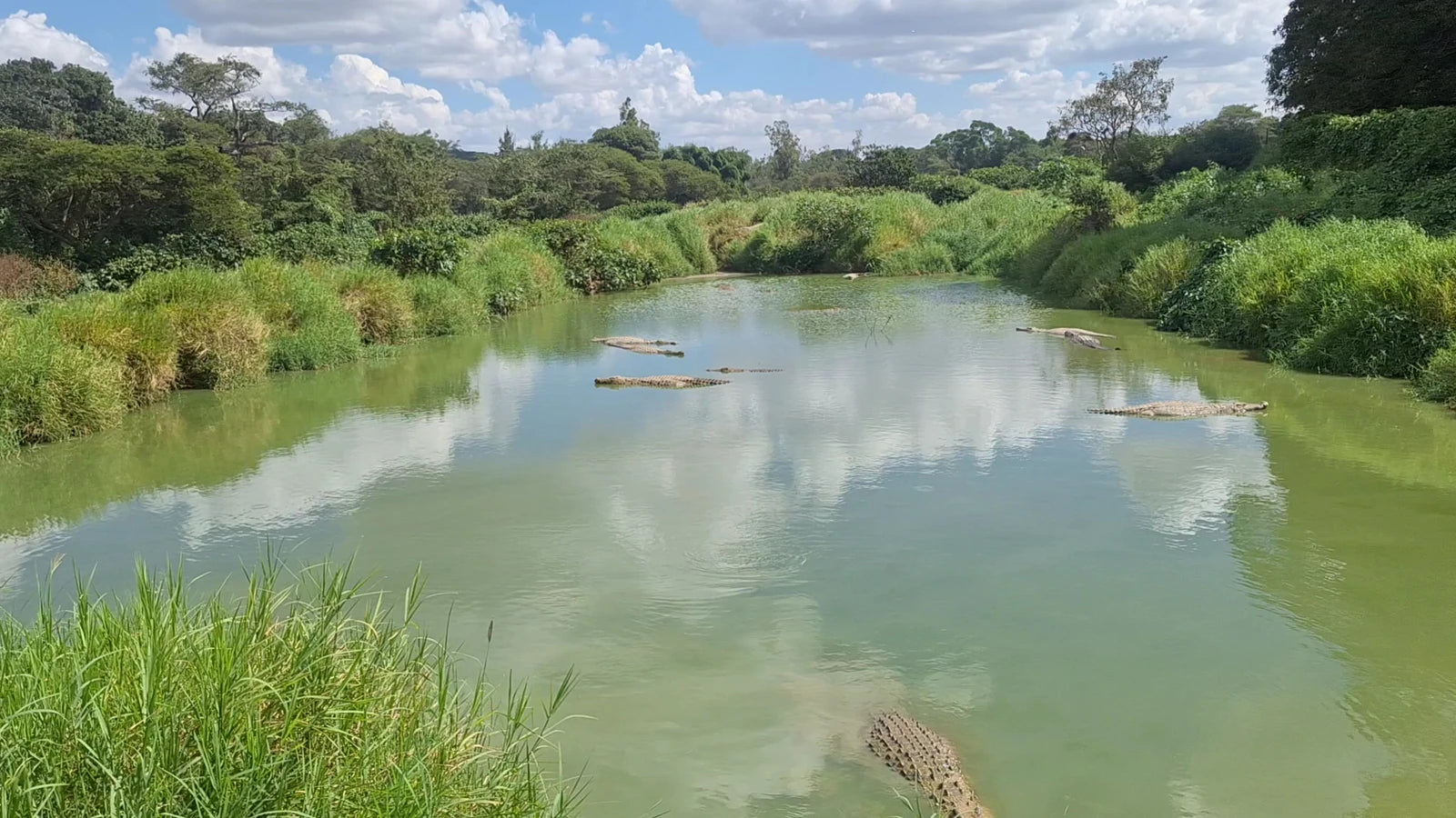 Kalimba Reptile Park, Lusaka 10101 Zambia
