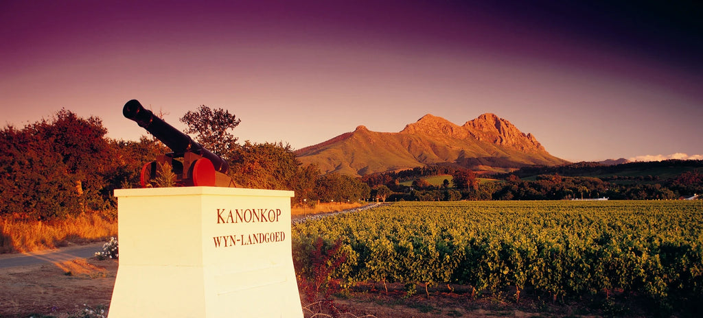 Kanu Wines, Stellenbosch South Africa