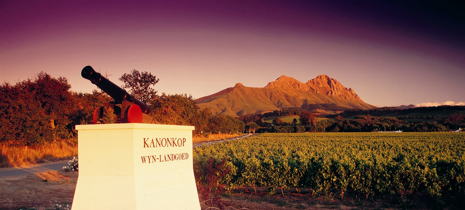 Kanu Wines, Stellenbosch South Africa