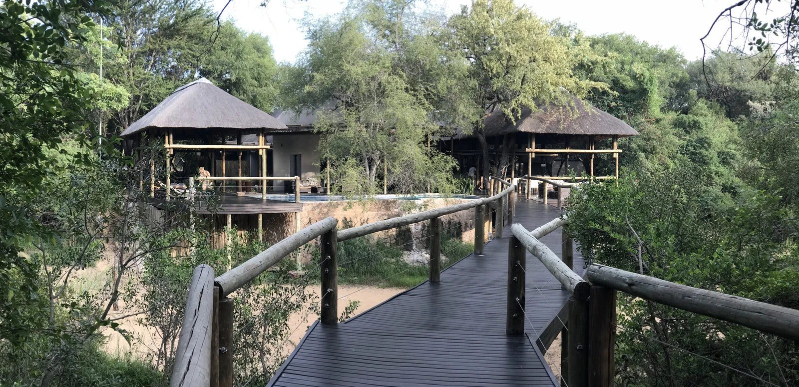 Kapama Private Game Reserve, Hoedspruit South Africa