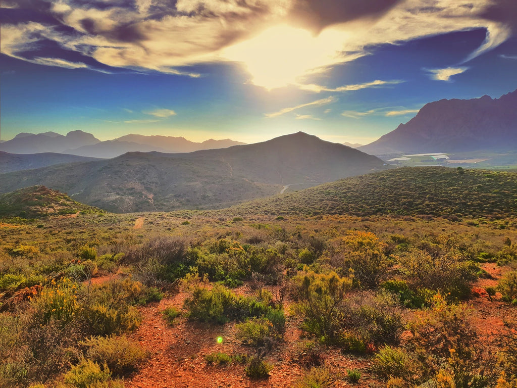 Karoo Desert National Botanical Garden, Worcester South Africa