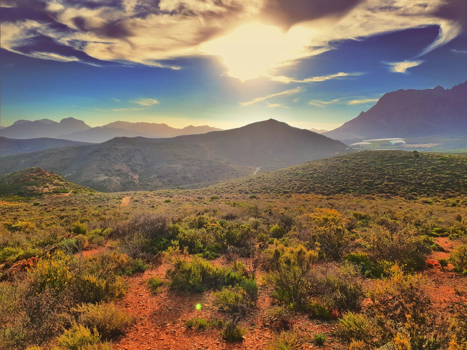 Karoo Desert National Botanical Garden, Worcester South Africa