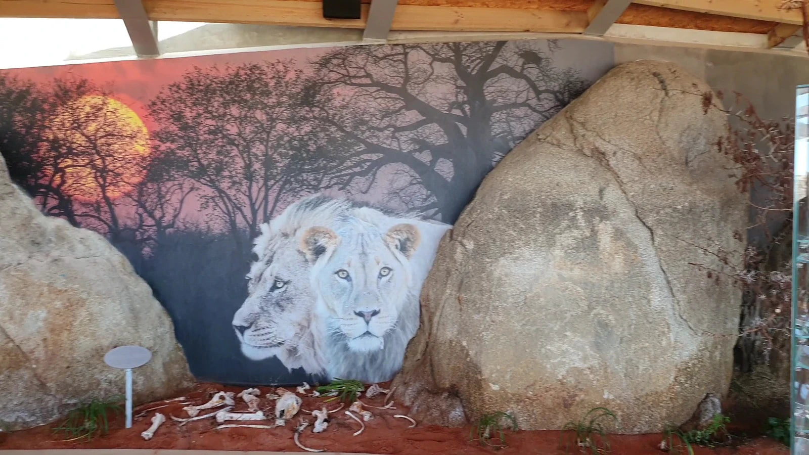 !Khwa ttu San Culture & Education Centre, Yzerfontein South Africa