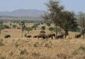 Kidepo National Park Uganda,  Uganda
