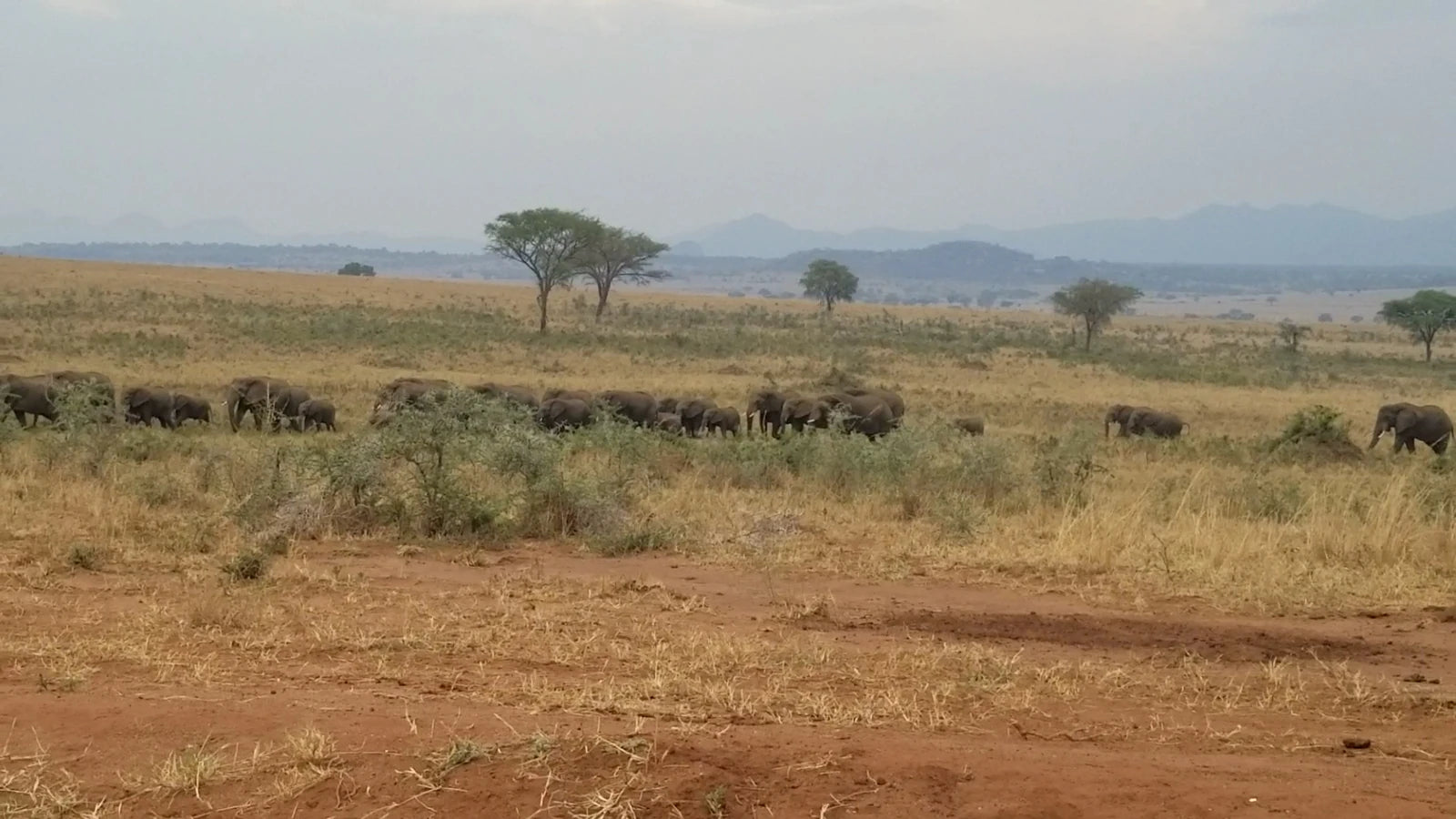 Kidepo National Park Uganda,  Uganda