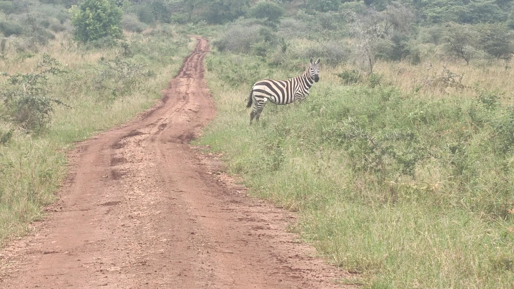 Kidepo National Park Uganda,  Uganda