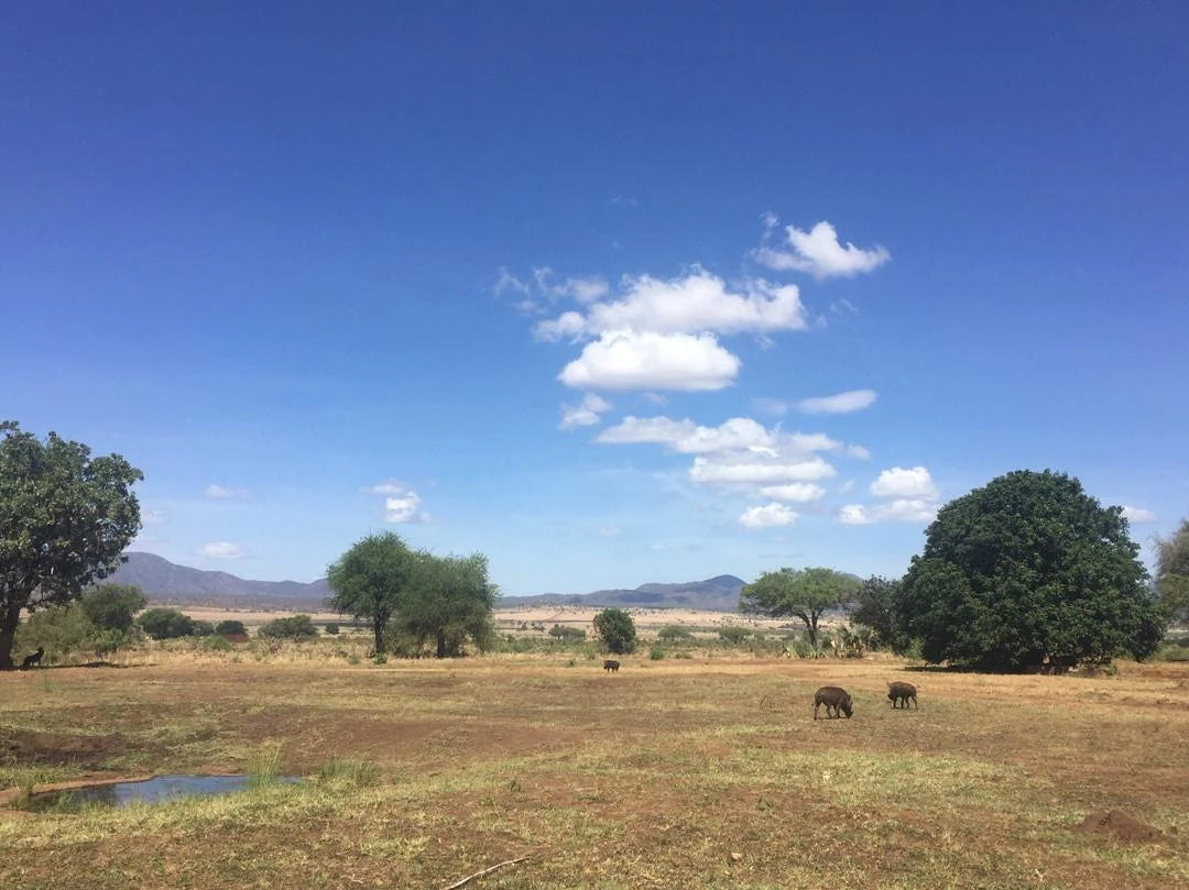 Kidepo National Park Uganda,  Uganda