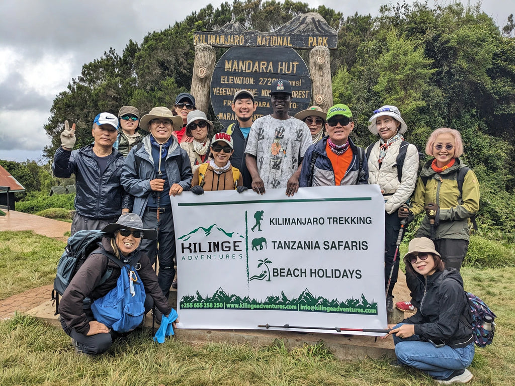 KILINGE ADVENTURES: Best Tanzania Tour Company Serengeti Safari Operator| Kilimanjaro climbing join Groups in Moshi & Arusha, Mkwawa Tanzania