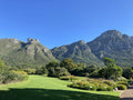 Kirstenbosch National Botanical Garden, Cape Town South Africa