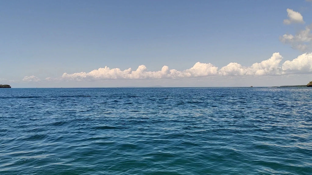 Kisite-Mpunguti Marine National Park,  Kenya