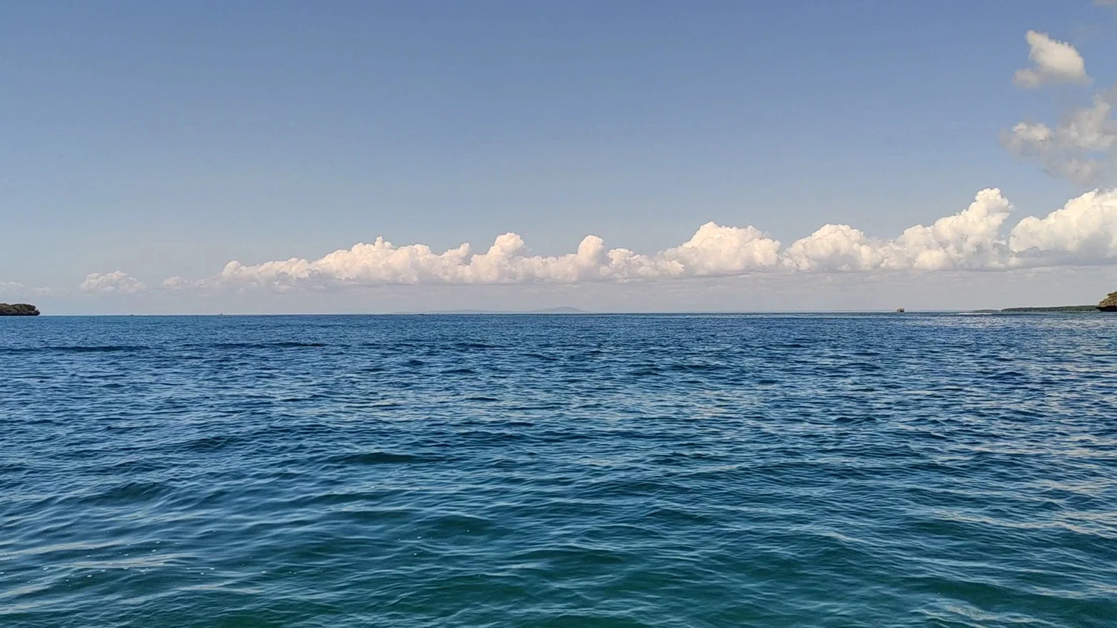 Kisite-Mpunguti Marine National Park,  Kenya