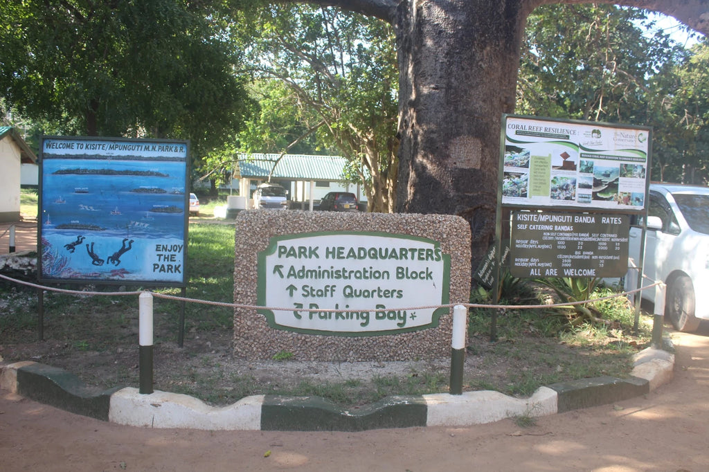 Kisite-Mpunguti Marine National Park,  Kenya