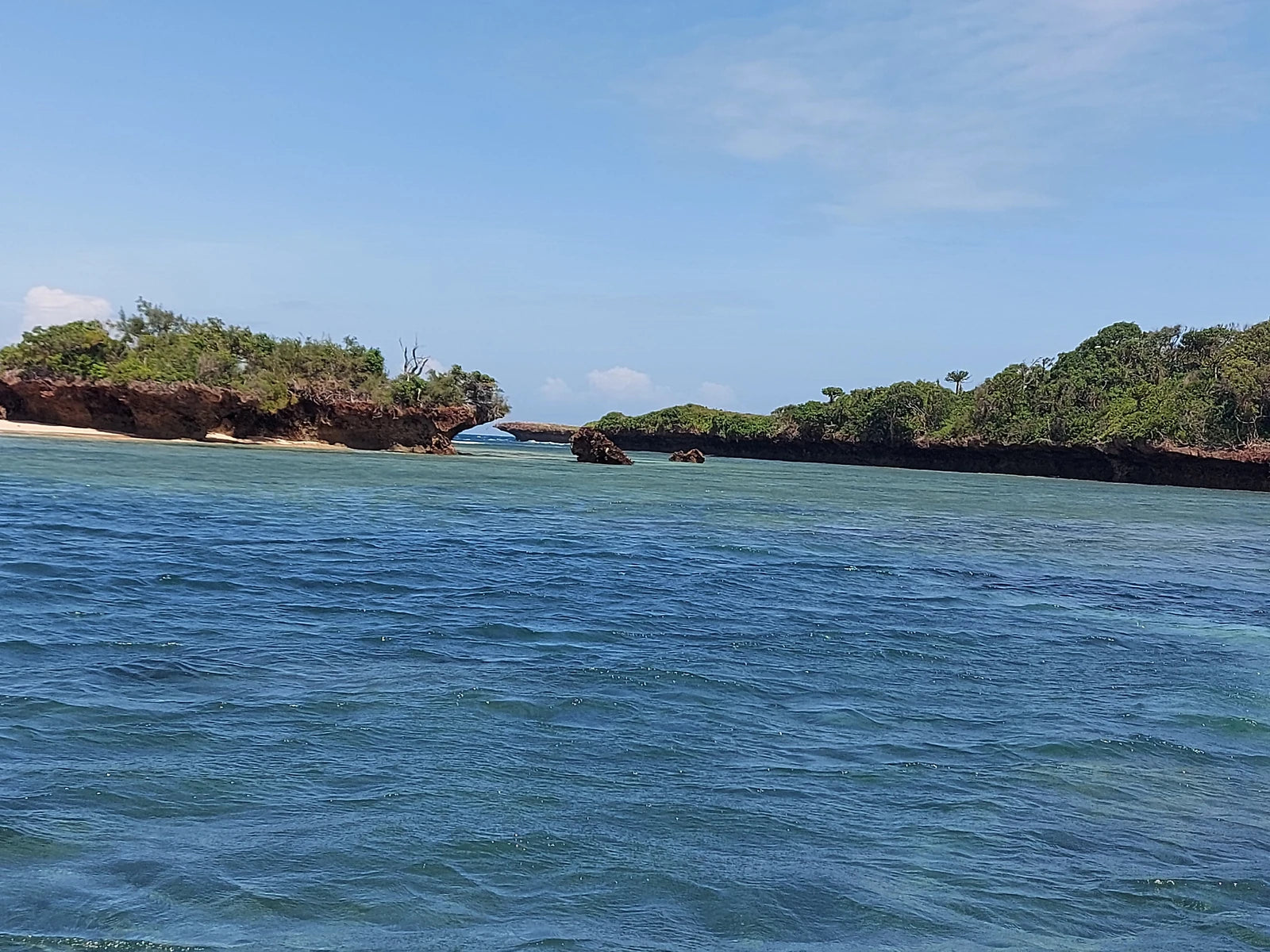 Kisite-Mpunguti Marine National Park,  Kenya